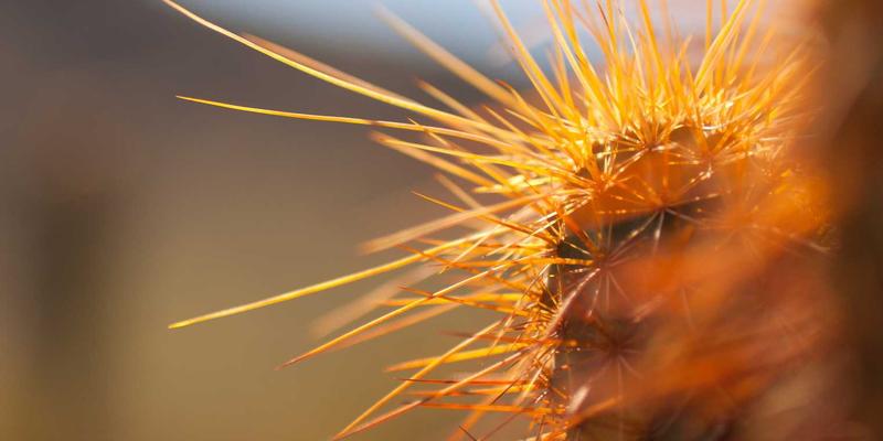 张家港奥欣100:以精密设备制造赋能现代工业的卓越解决方案