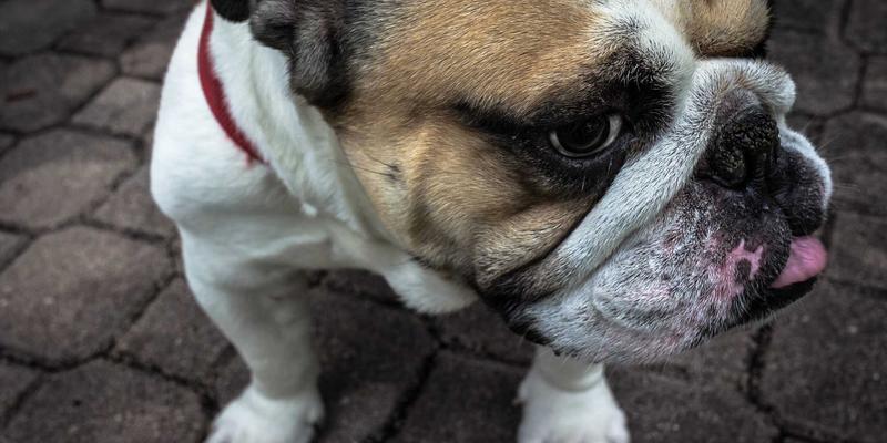 张家港奥欣54：以创新工业设备与解决方案驱动制造业升级