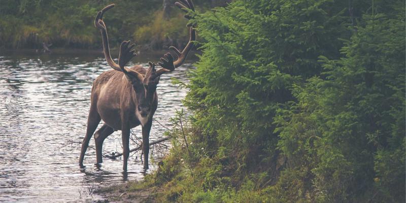 张家港奥欣76：深耕工业机械制造，以技术创新驱动产业升级