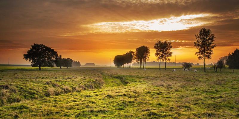 张家港奥欣77：精密机械加工与工业设备制造领域的卓越实践者