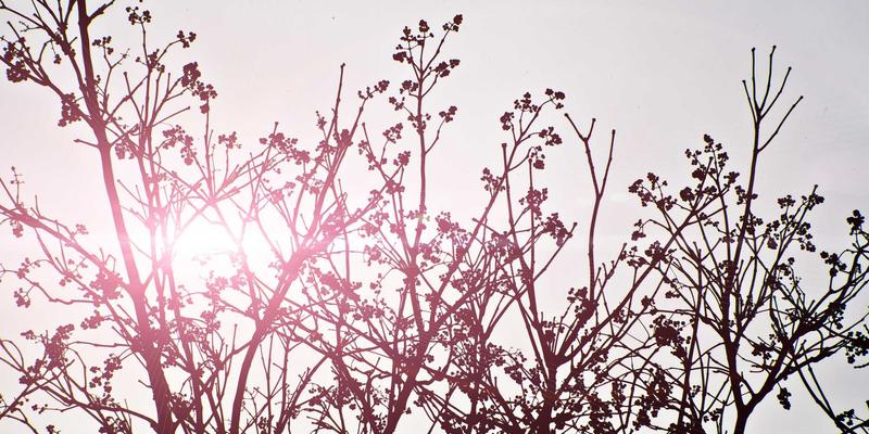 张家港奥欣教程：赋能制造业的工业解决方案与设备应用指南