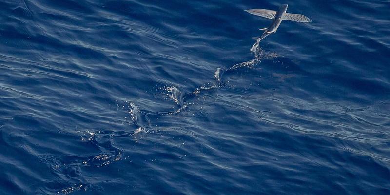 揭秘张家港奥欣研发团队：驱动工业设备创新的核心力量