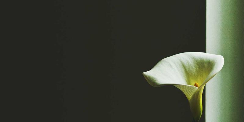 模块化设计如何革新非标设备制造？张家港奥欣的工业解决方案解析